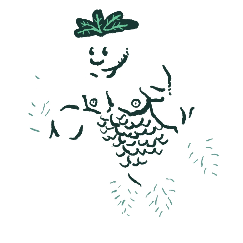 Mandragola