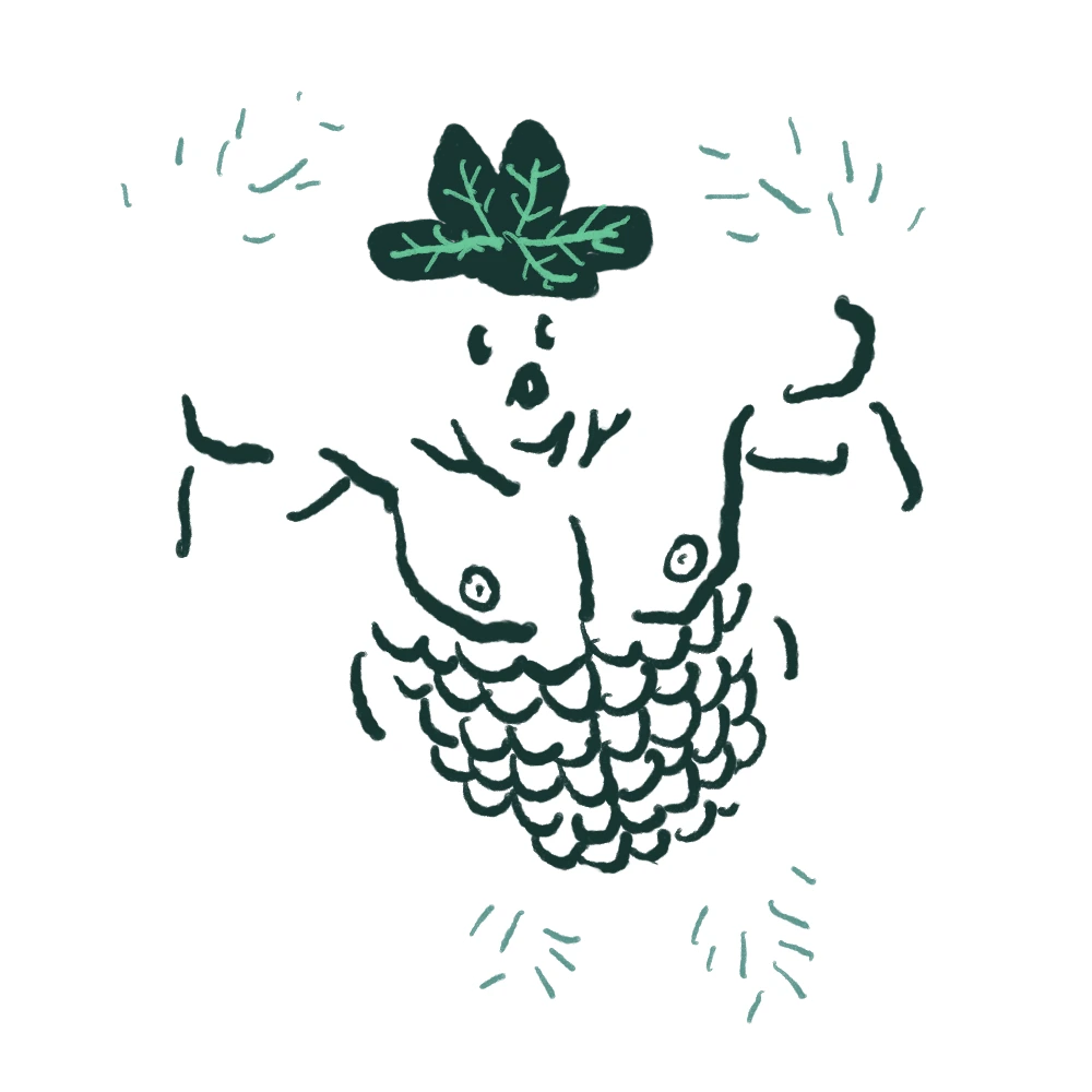Mandragola