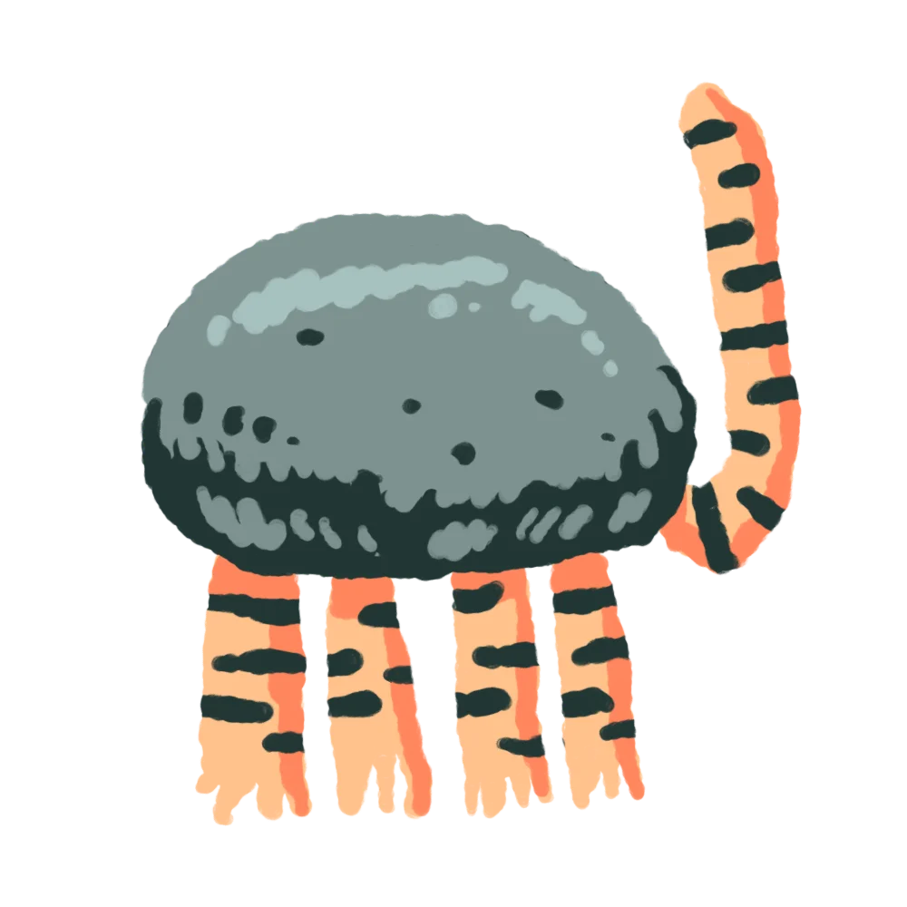 Torakoishi