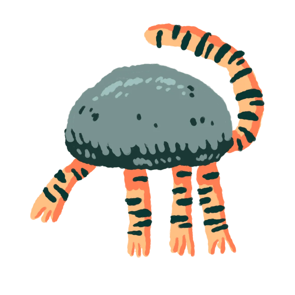 Torakoishi