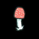 Amanita Amanita