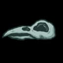 Bird Skull Bird Skull