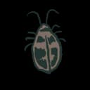 Cockroach Cockroach
