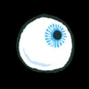 Human Eye Human Eye