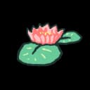Lotus Lotus