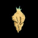 Mandrake Root Mandrake Root