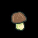 Porcini Mushroom Porcini Mushroom
