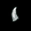 Werewolf Fang Werewolf Fang