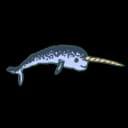 Narwhal Narwhal
