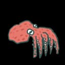 Octopus Octopus