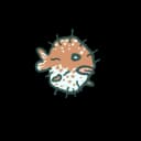 Pufferfish Pufferfish
