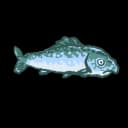 A fish A fish