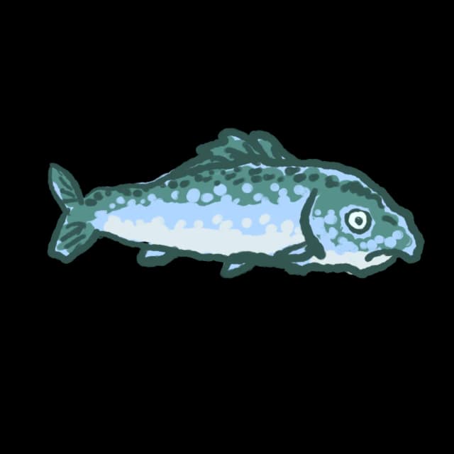 A fish A fish