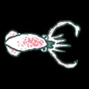 Squid Squid