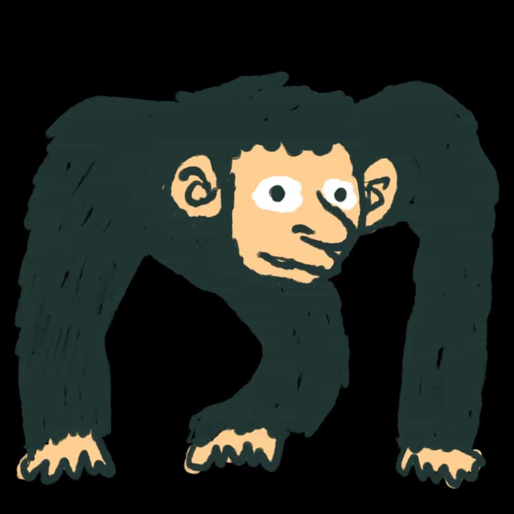 Amabiko