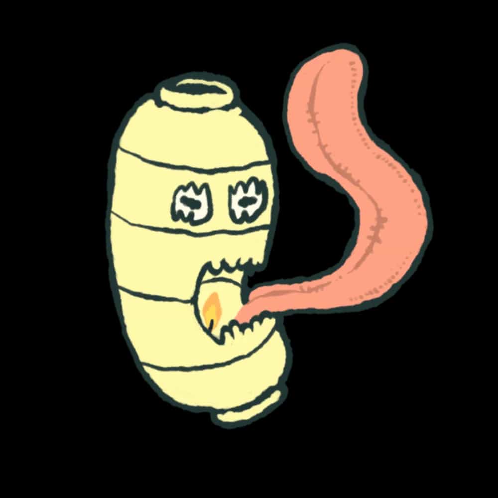 Chochin'obake