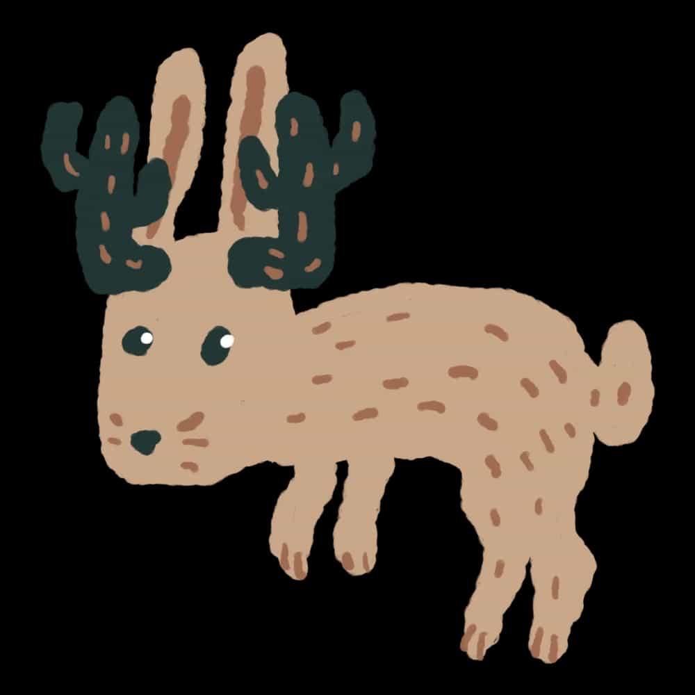 Jackalope