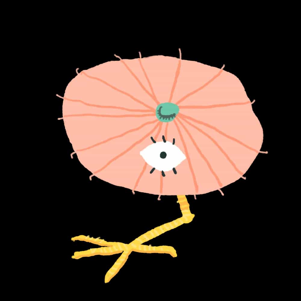 Kasa-obake