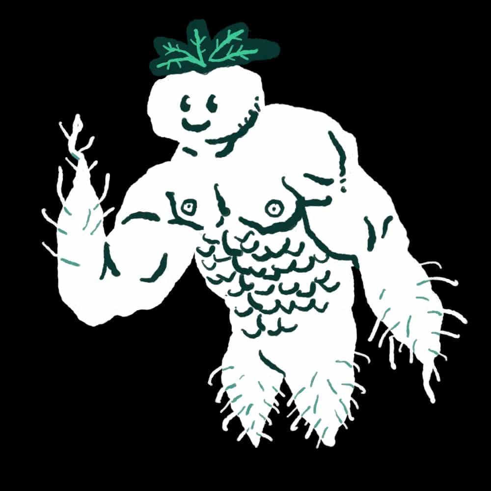Mandragola