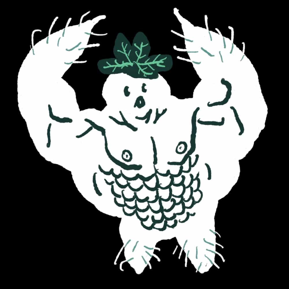 Mandragola