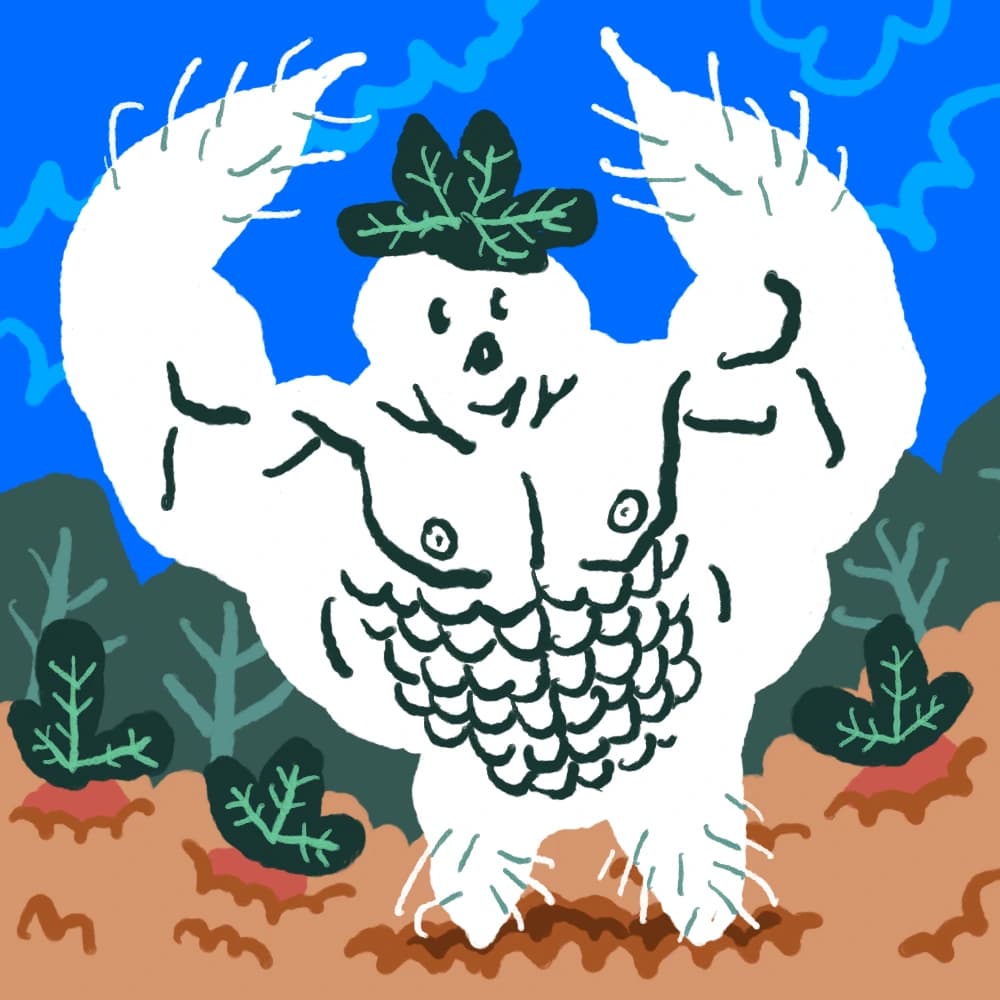Mandragola