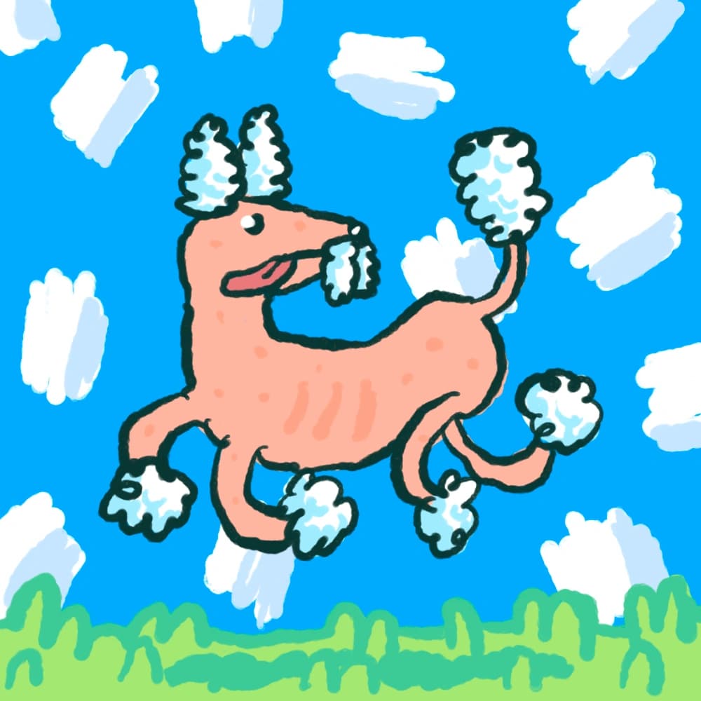 Qiqirn