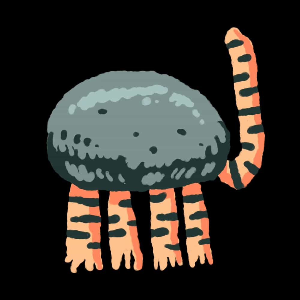 Torakoishi