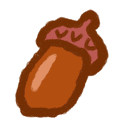 Oak Seed Oak Seed