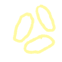 Rice Grains Rice Grains