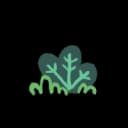 Squareroot Squareroot