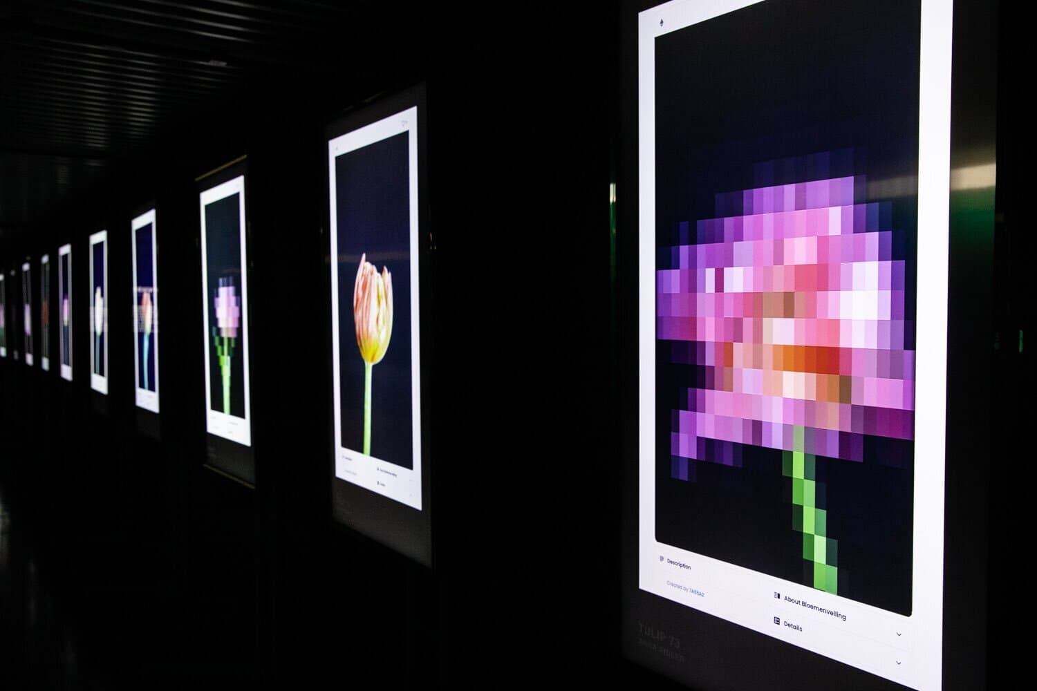 Anna Ridler, Bloemenveiling, 2019 — AI-generated tulips sold as NFTs through smart contracts